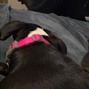 Meet your Posher, Yessica